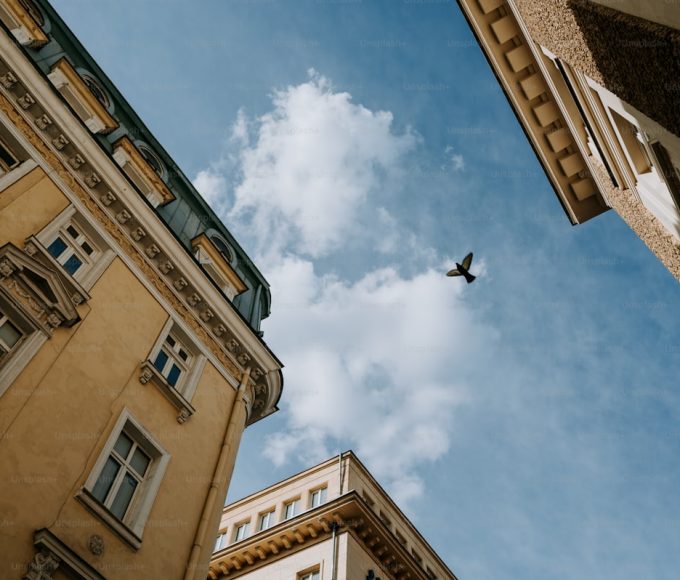 Top HIKVISION NVR Models for Advanced Surveillance Solutions